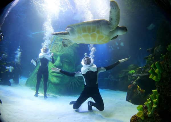 Strictly Come Dancing stars Ola Jordan  and Ashley Taylor Dawson practising their dance moves under water at the Sea Life Centre in Manchester.