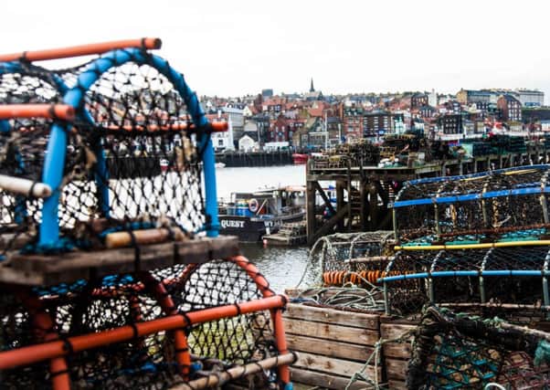 Crab & lobster pots at Whitby