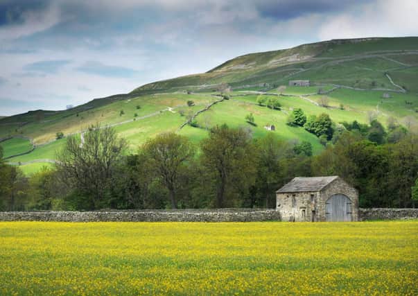 A typical scene in the Dales where barn conversion is a controversial topic.