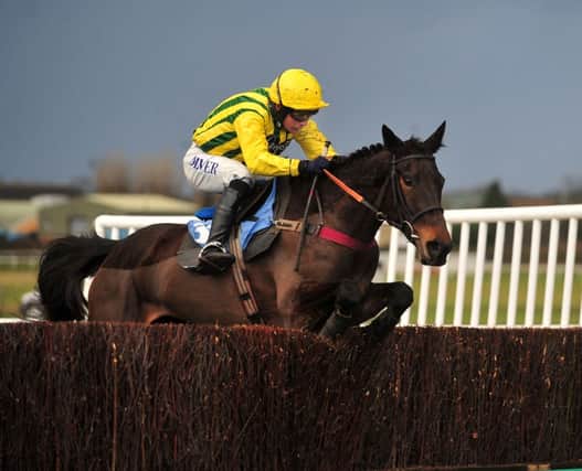 Liam Treadwell guides Pepite Rose home. Picture by Steve Riding.