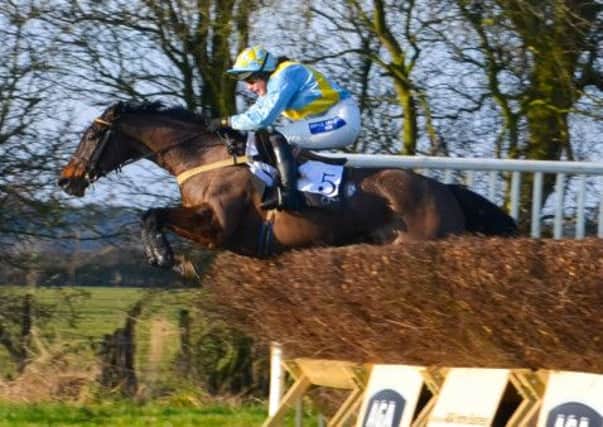 Jacqueline Coward riding Elusive Swallow at the Yorkshire Area Point-to-Point Club meeting in 2013.