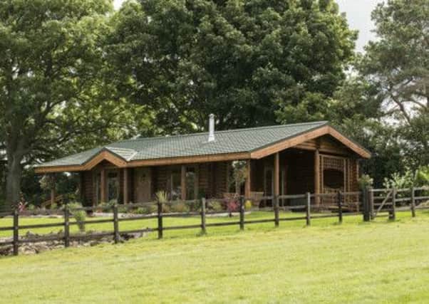 Log cabins at Ann Duffield's stables.