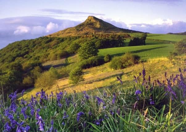 Bluebells at Roseberry Topping, North Yorkshire.
