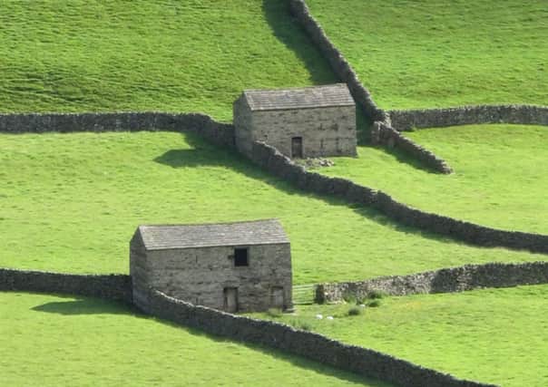 Barns and walls in upper Swaledale within the conservation area. Credit: Yorkshire Dales National Park Authority.