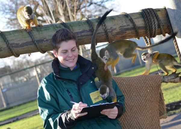 Staff at the Yorkshire Wildlife Park on their annual stock-take