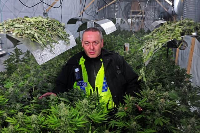 PC Pat Kenning inside the cannabis farm