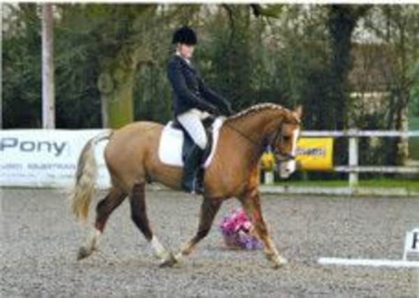 going for glory: Eliza Yeardley and Prince VIII are aiming to retain their JAS title at Bury Farm in Buckinghamshire this weekend.