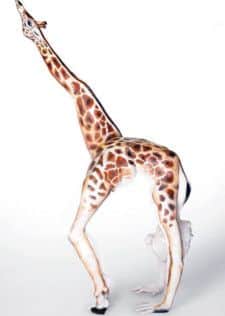 Beth Sykes in giraffe pose