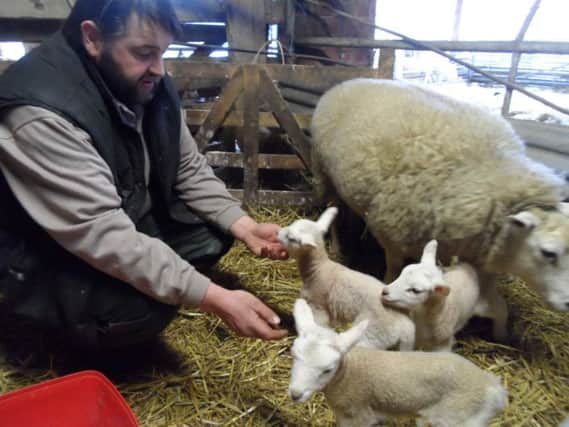 Peter Vickerton tends to his lambs at Grange Farm, Atwick