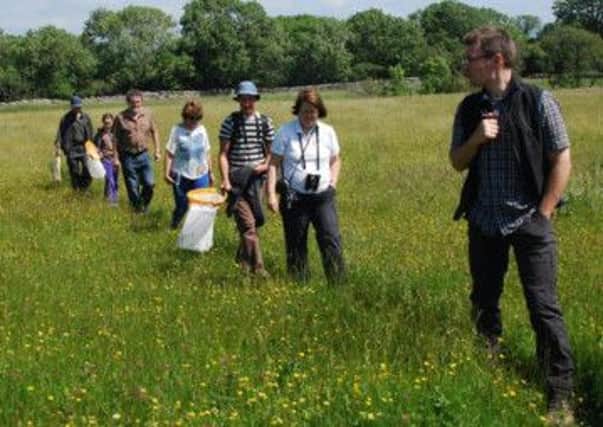 Wildlife enthusiasts join a bumblebee identification walk organised by the Yorkshire Dales Millennium Trust