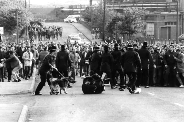 May 30th 1984.  Pickets freezing in their tracks as police dogs and their handlers reinforce officers trying to stop a charge to the coke plant gates. on the ground, a policeman and a picket grapple.