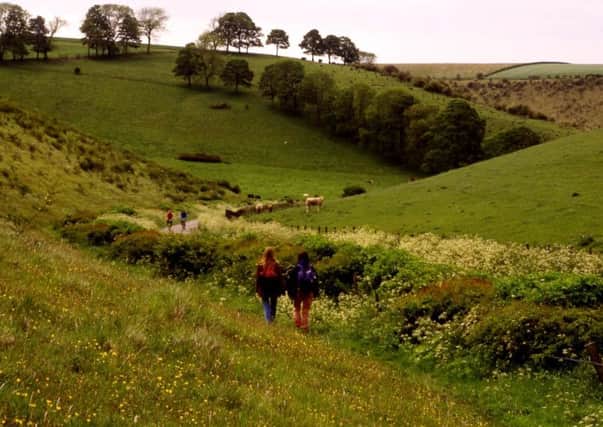 Walkers in the Yorkshire Wolds