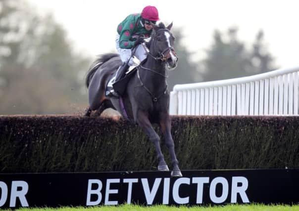 Somersby, ridden by Dominic Elsworth, seen winning the Haldon Gold Cup Chase at Exeter (Picture: David Davies/PA Wire).
