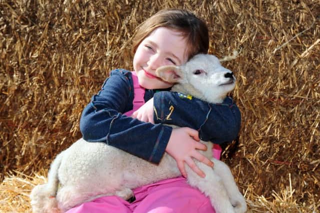 Hannah Lloyd with a new lamb at Askam Bryan College near York on their annual Lambing Day event