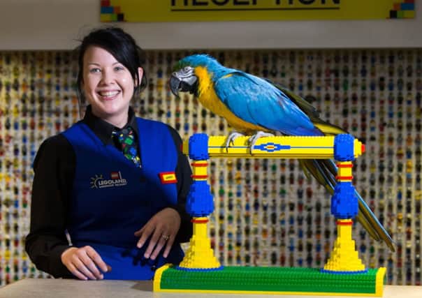 Charlie the parrot with receptionist Amber Dixon during auditions for the "Parrot in residence" at the Legoland Windsor Resort Hotel