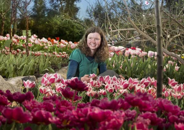 Louise Hay amongst tulips that have bloomed in the Mediterranean Biome at the Eden Project in Cornwall
