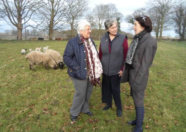 Yorkshire-based WI members Freda Shaw, Margaret Jackson and Glenys Wedzicha.