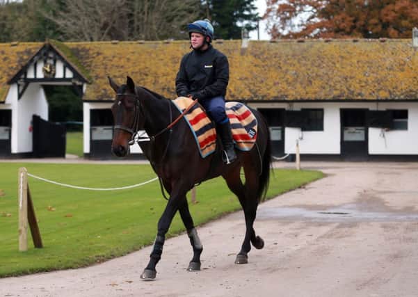 Long Run in the excercise yard at Seven Barrows, Lambourn. (Picture: David Davies/PA Wire)