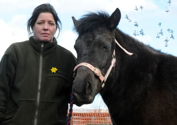 Rebecca Hibbard with one of the ponies