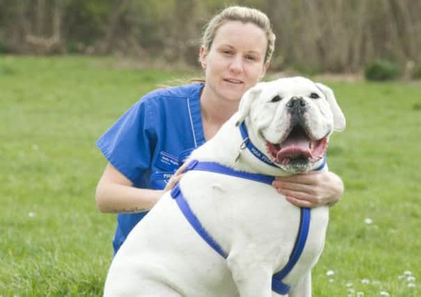 PDSA Head Nurse Stella Hughes and fat Boxer, Diesel