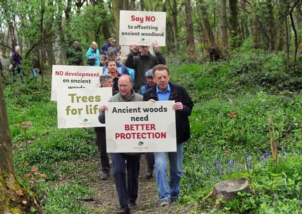 Protesters gather at Smithy Wood