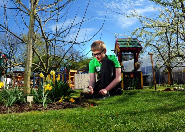 Liam Wainwright weeds the flower beds at Growing Zone in Kippax.    Picture by Tony Johnson