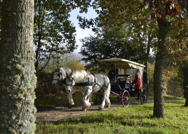 Haras Du Pin in Normandy is set to host the World Equestrian Games in 2014. A pair of Percherons, Tirun, left and Quentin, pull a carriage driven by 62 year-old Jacky Langouet.