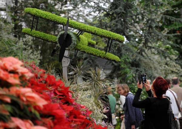 A bi-plane sprouting grass, part of Birmingham City Council's World War One themed garden  at the Royal Hospital in Chelsea