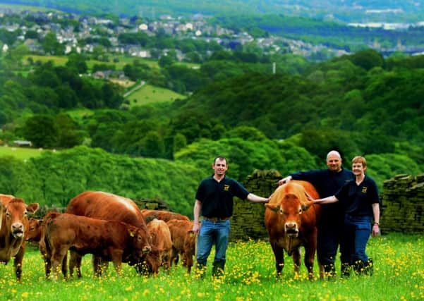 (L-R) Son-in-law Richard Crowther with John and Ruth Dean with some of their Limousin (Gl100339c)