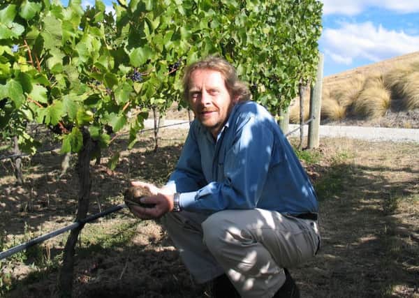 Nigel Greening of Felton Road vineyard