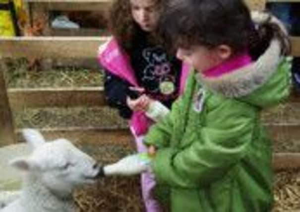 Children during an Open Farm Sunday visit. The event returns this Sunday.