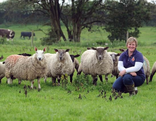 Jayne Greensit-Marley at Holme House Farm with some of her Suffolk cross sheep.