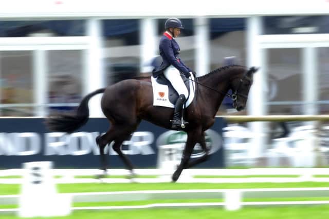 Mary King on MHS King Joules in the dressage
