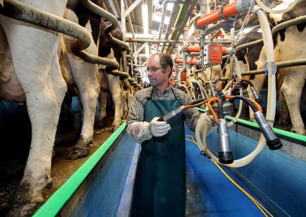 Roger Hildreth, 55, with his dairy herd at Curlew Fields Farm in Hessay.