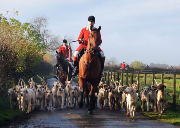 The Middleton Hunt hounds set off from Golden Flatts, Sheriff Hutton