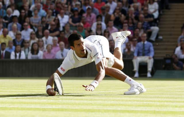 Wimbledon champion Novak Djokovic.