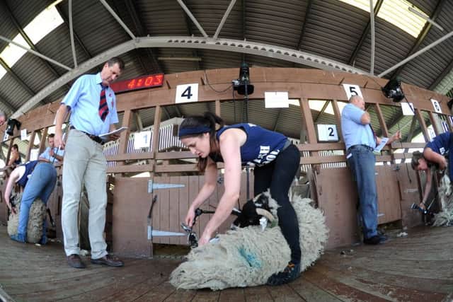 Louise Robinson from Clapham takes part in the Female Sheep Shearing Competition