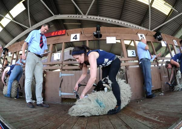 Louise Robinson from Clapham takes part in the Female Sheep Shearing Competition