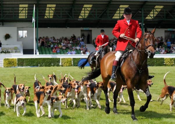 The Parade of Hounds in the Main Ring.