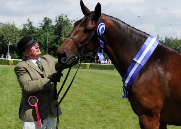 Cuddy Supreme Champion Steve Pullan from Knaresborough with his 7 year old Cleveland Bay Mare Knaresborough Moon Dust.
