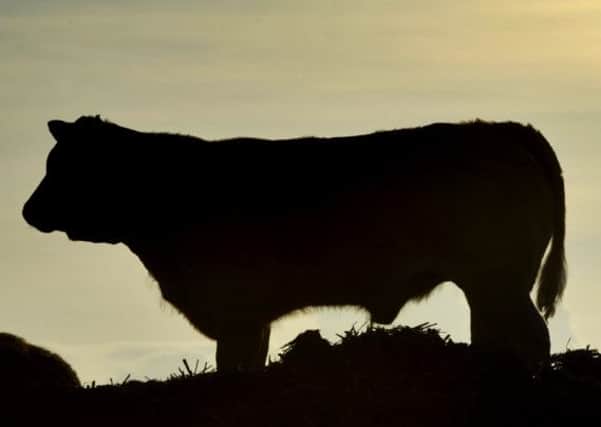 Cattle buyers should adopt risk-based trading, according to Farming Minister George Eustice.
