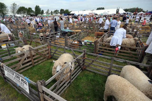 The Driffield Show