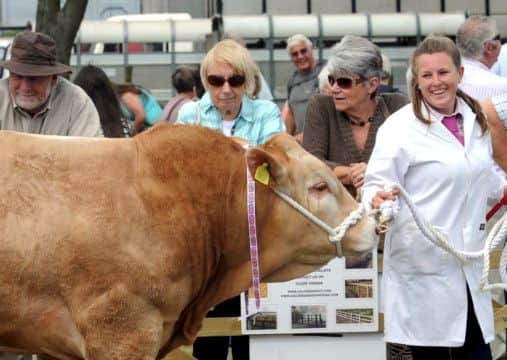 The 139th Driffield Show was hailed a success.