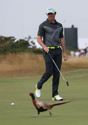 A pheasant walks past Northern Ireland's Rory McIlroy during day two of the 2014 Open Championship at Royal Liverpool Golf Club, Hoylake. (Picture: David Davies/PA Wire).