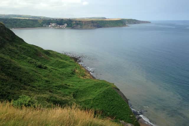 The cliff tops at Kettleness near Whitby. Picture: Ross Parry Agency