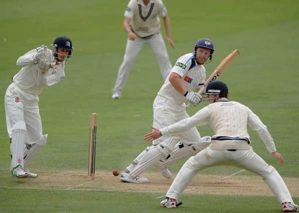 Yorkshire's Andrew Gale on his way to a century at Scarborough yesterday.