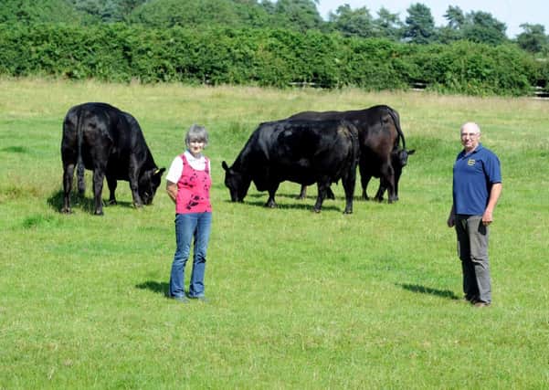 Best of breed: Adrian and Penny Johnson with their Aberdeen Angus cattle, a passion for which they have both shared for many years.