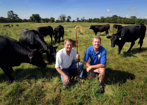 Farming lessons: Sam Blacker, left, and Steve Ross have both the Tockwith Show and the Coast to Coast walk on their minds.