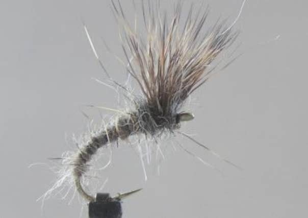 A Hares Ear Emerger fly dressed by Stephen Cheetham.