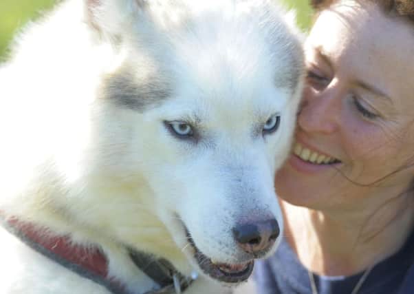 Debbie Pullen with a dog at Pesky Huskies. PIC: Tony Bartholomew